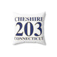Cheshire 203 Connecticut Polyester Square Pillow