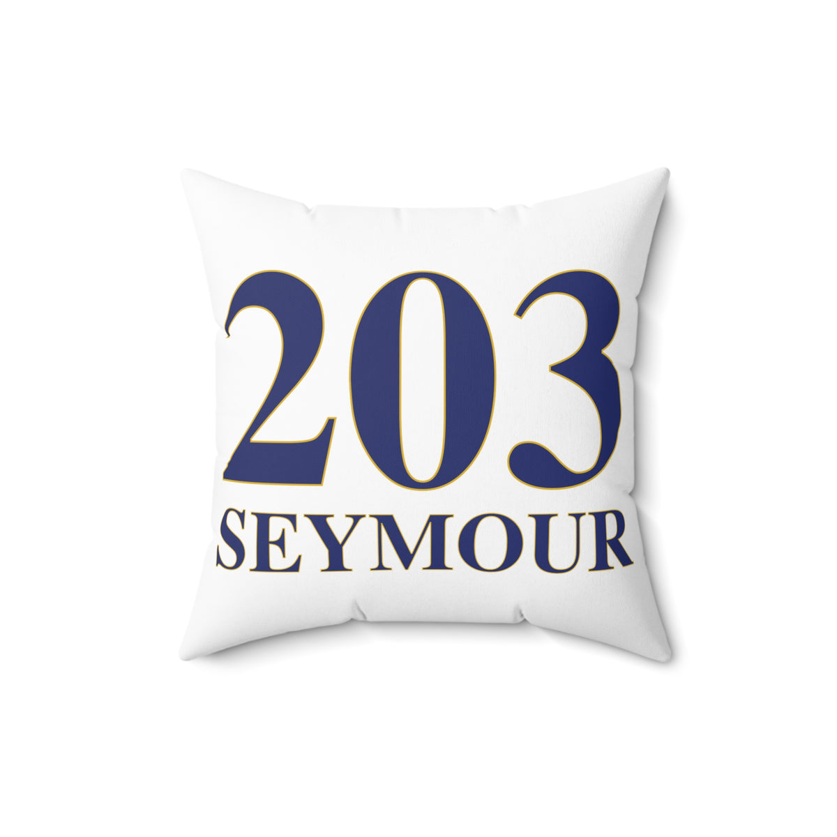 203 Seymour Polyester Square Pillow
