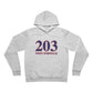 203 West Norwalk, Red, White & Blue Unisex Sponge Fleece Pullover Hoodie