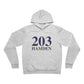 203 Hamden / Hamden CT hoodie sweatshirts  /// finding connecticut 
