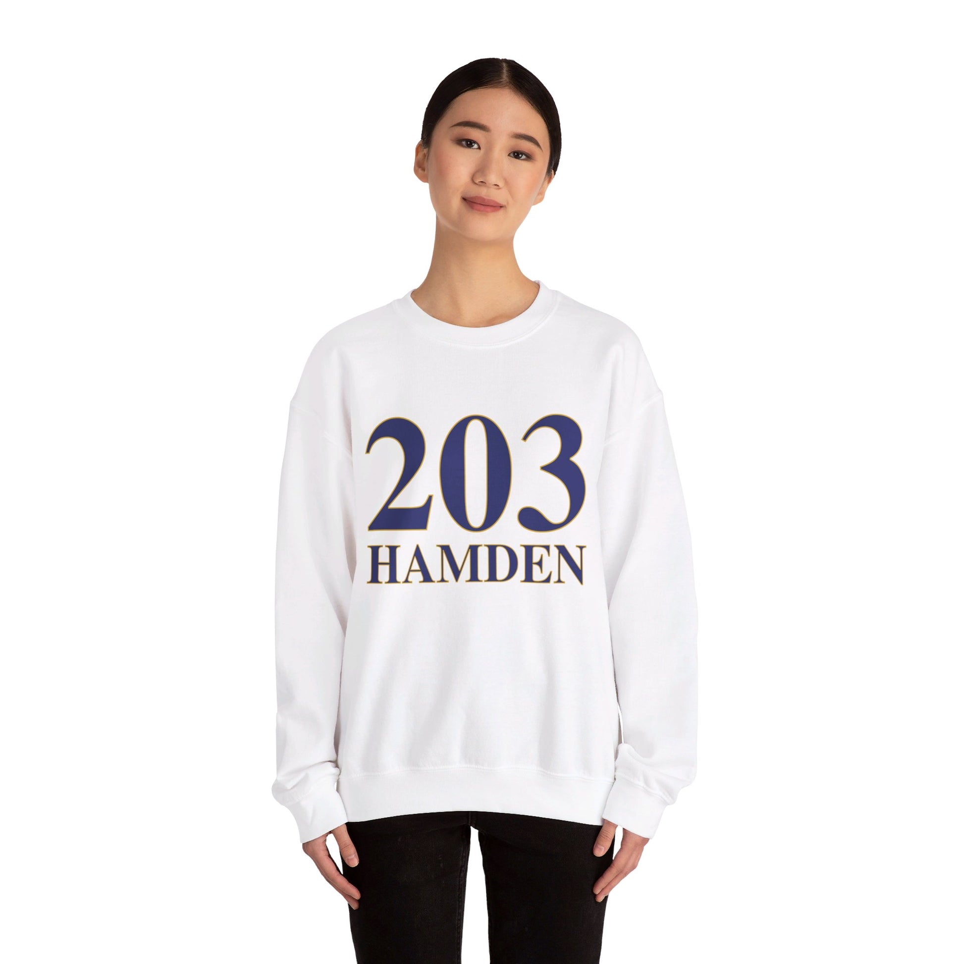 203 Hamden / Hamden CT sweatshirt /// finding connecticut 