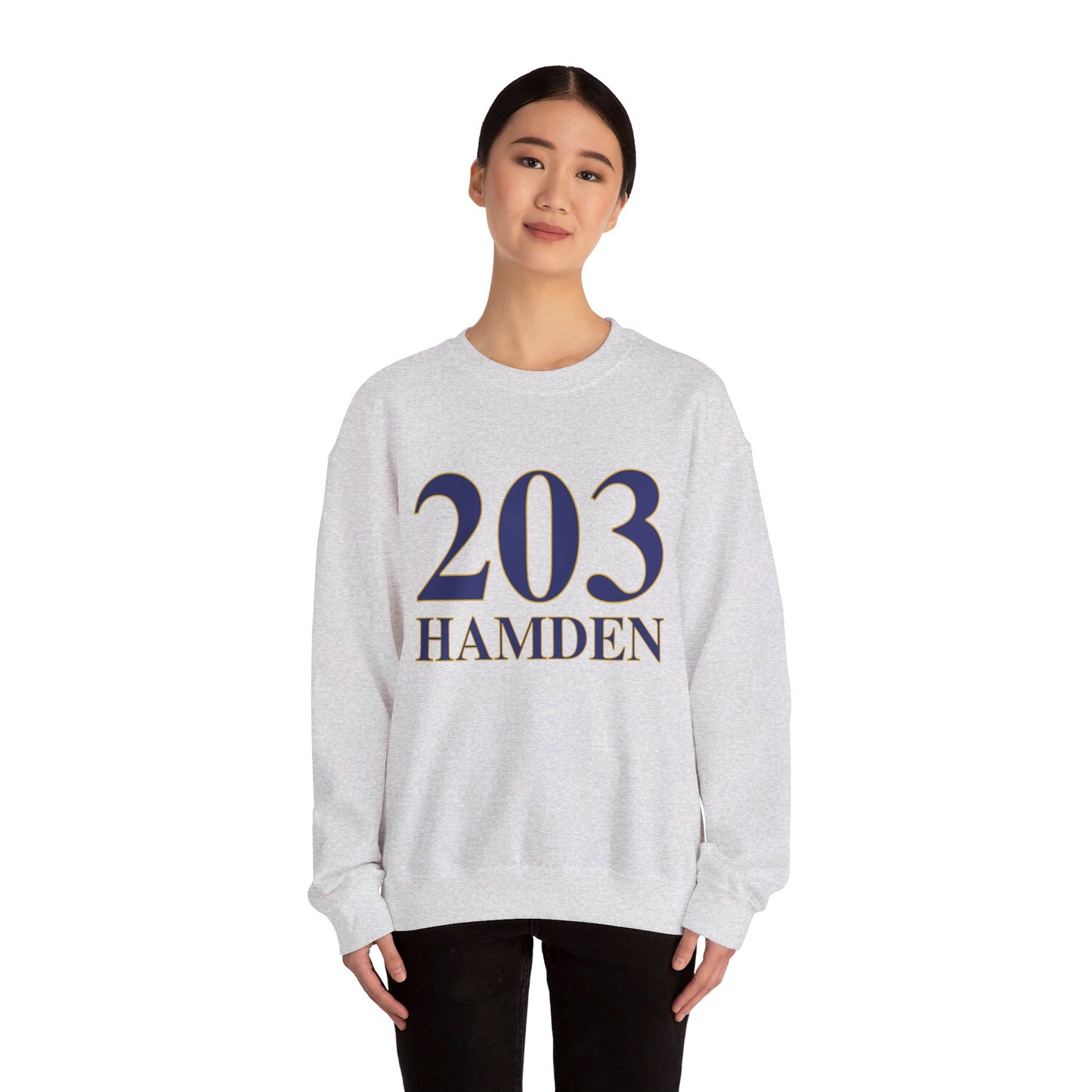 203 Hamden / Hamden CT sweatshirt /// finding connecticut 