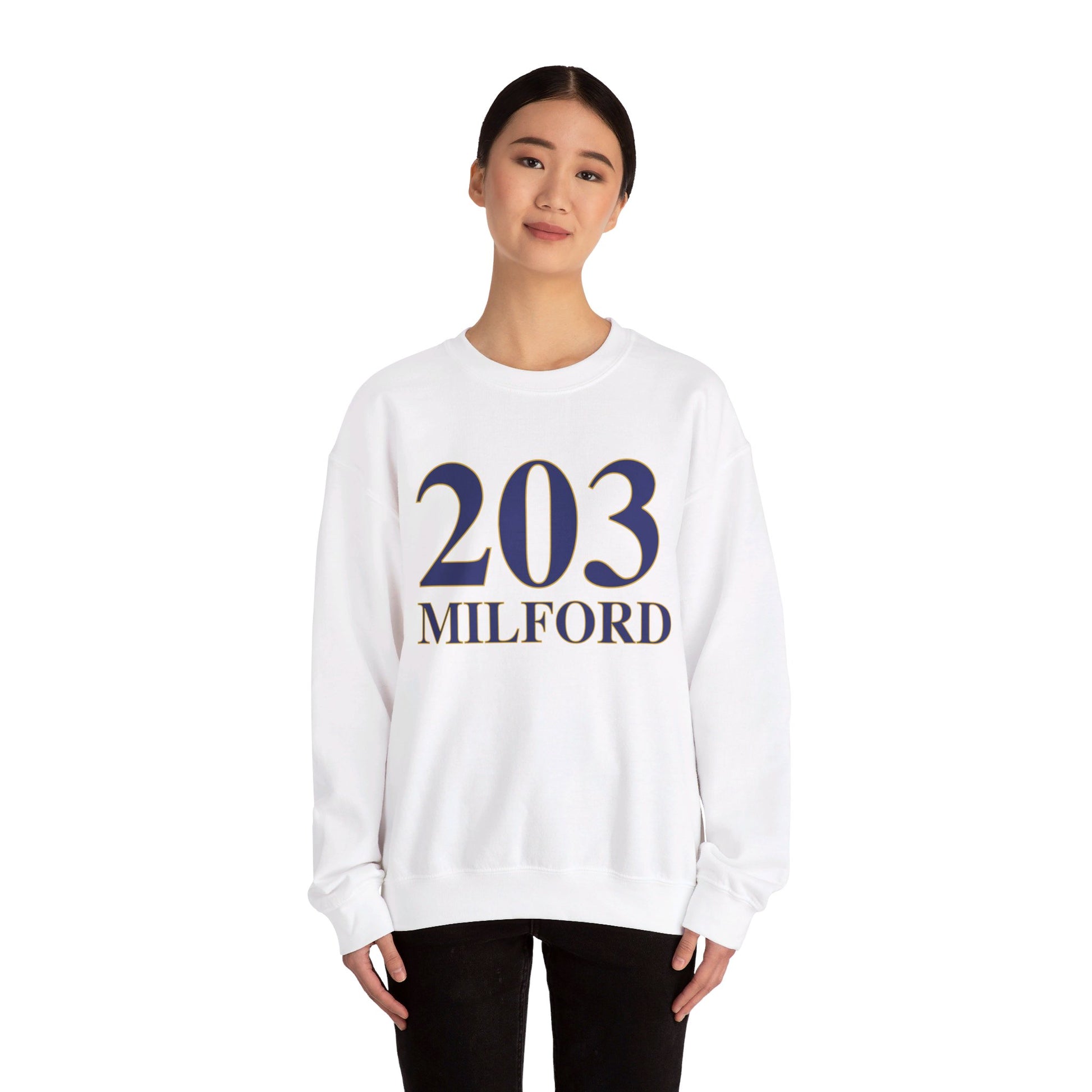 203 Milford // Milford CT unisex sweatshirt // finding connecticut 
