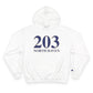 203 North Haven // North Haven Connecticut champion unisex hoodie sweatshirt // finding connecticut 