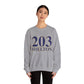 203 Shelton // Shelton CT  unisex sweatshirt // finding connecticut 