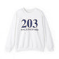 203 Wallingford // Wallingford ct  sweatshirt // finding connecticut  