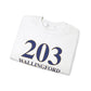 203 Wallingford // Wallingford ct  sweatshirt // finding connecticut  