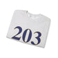 203 West Haven // west haven CT unisex sweatshirt  // finding connecticut 