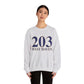 203 West Haven // west haven CT unisex sweatshirt  // finding connecticut 