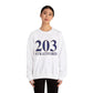 203 stratford  // Stratford ct unisex sweatshirt   // finding connecticut 