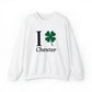 chester ct sweatshirt