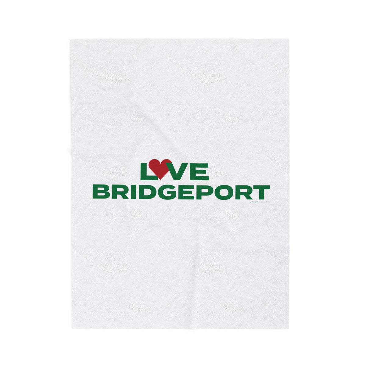 Love Bridgeport Velveteen Plush Blanket