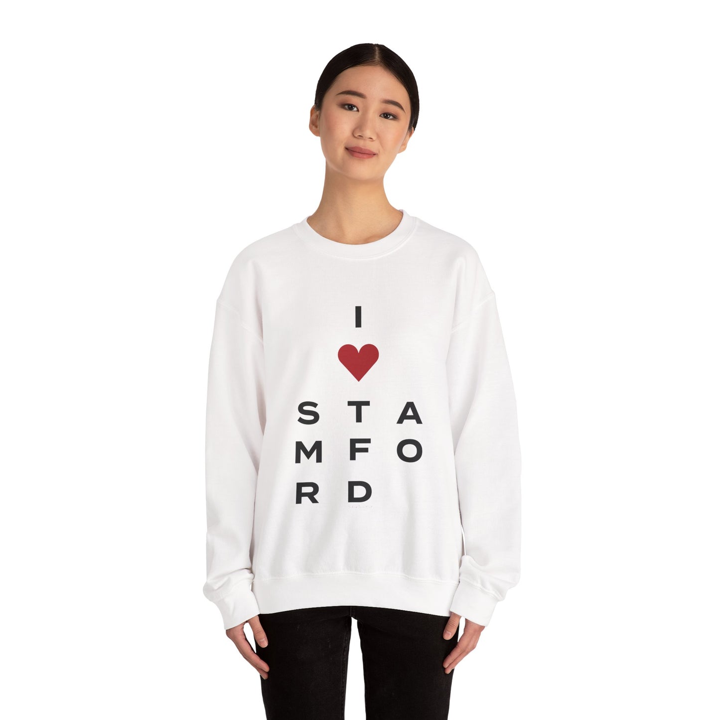 Stamford Vision Unisex Heavy Blend™ Crewneck Sweatshirt