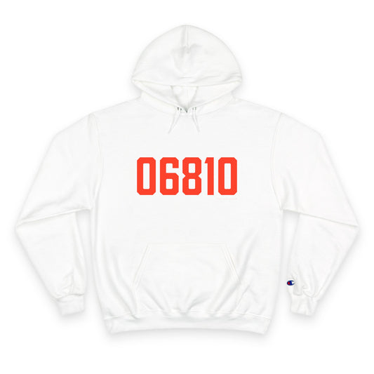 06810 Danbury Connecticut Zip Code Champion Hoodie Sweatshirt