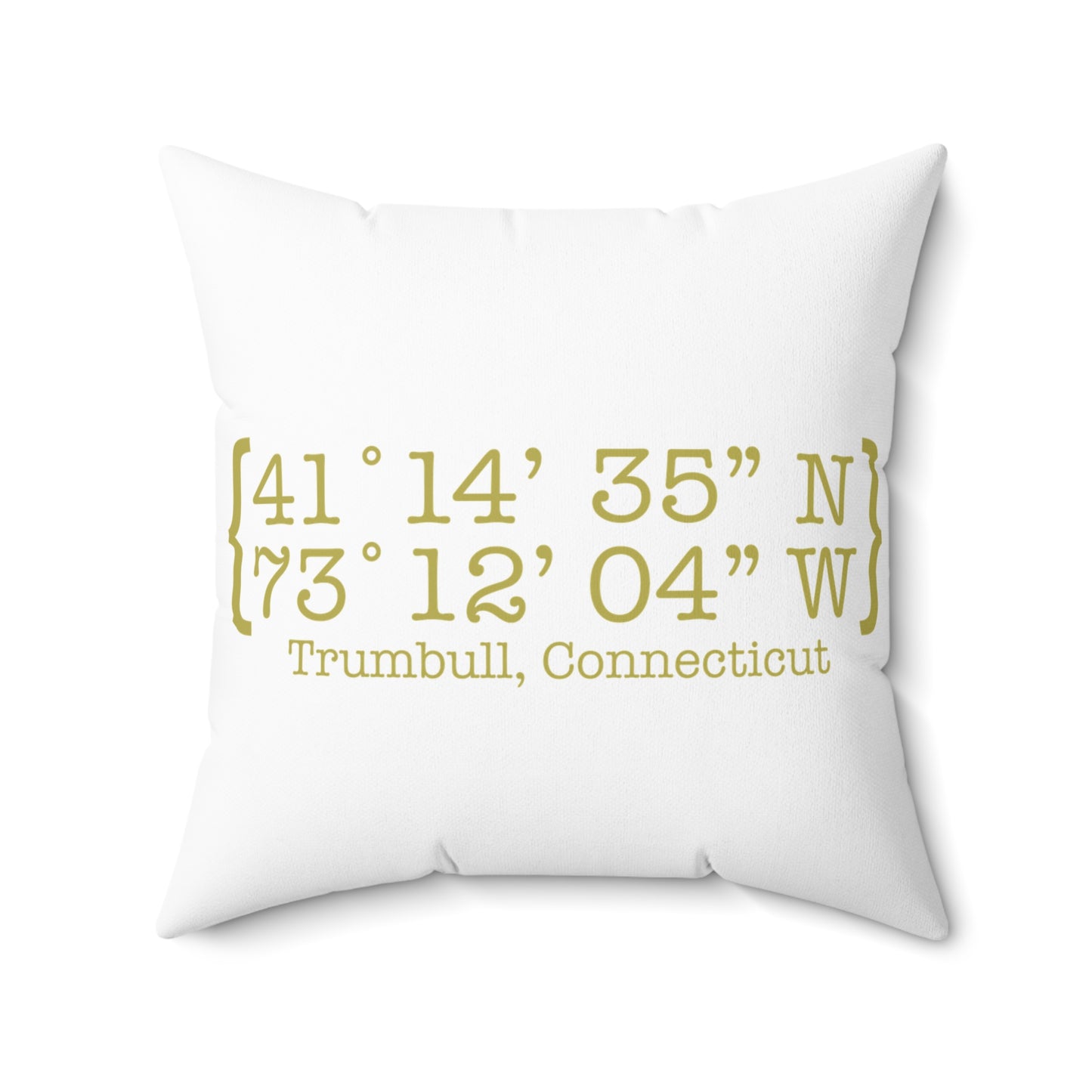 Trumbull Coordinates Spun Polyester Square Pillow