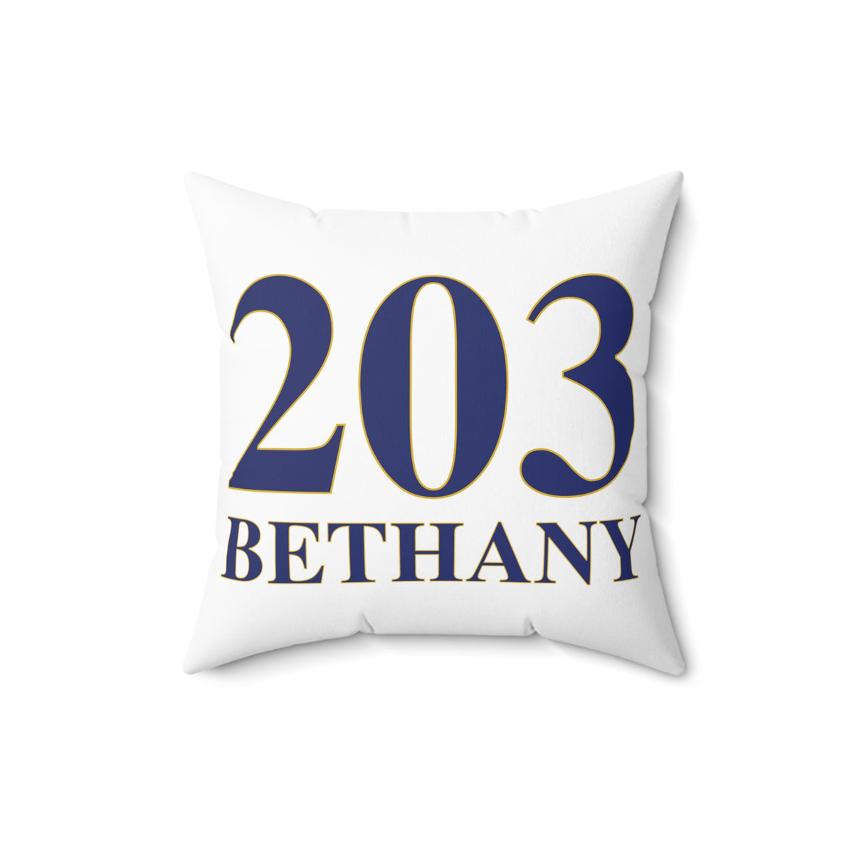 203 Bethany Polyester Square Pillow