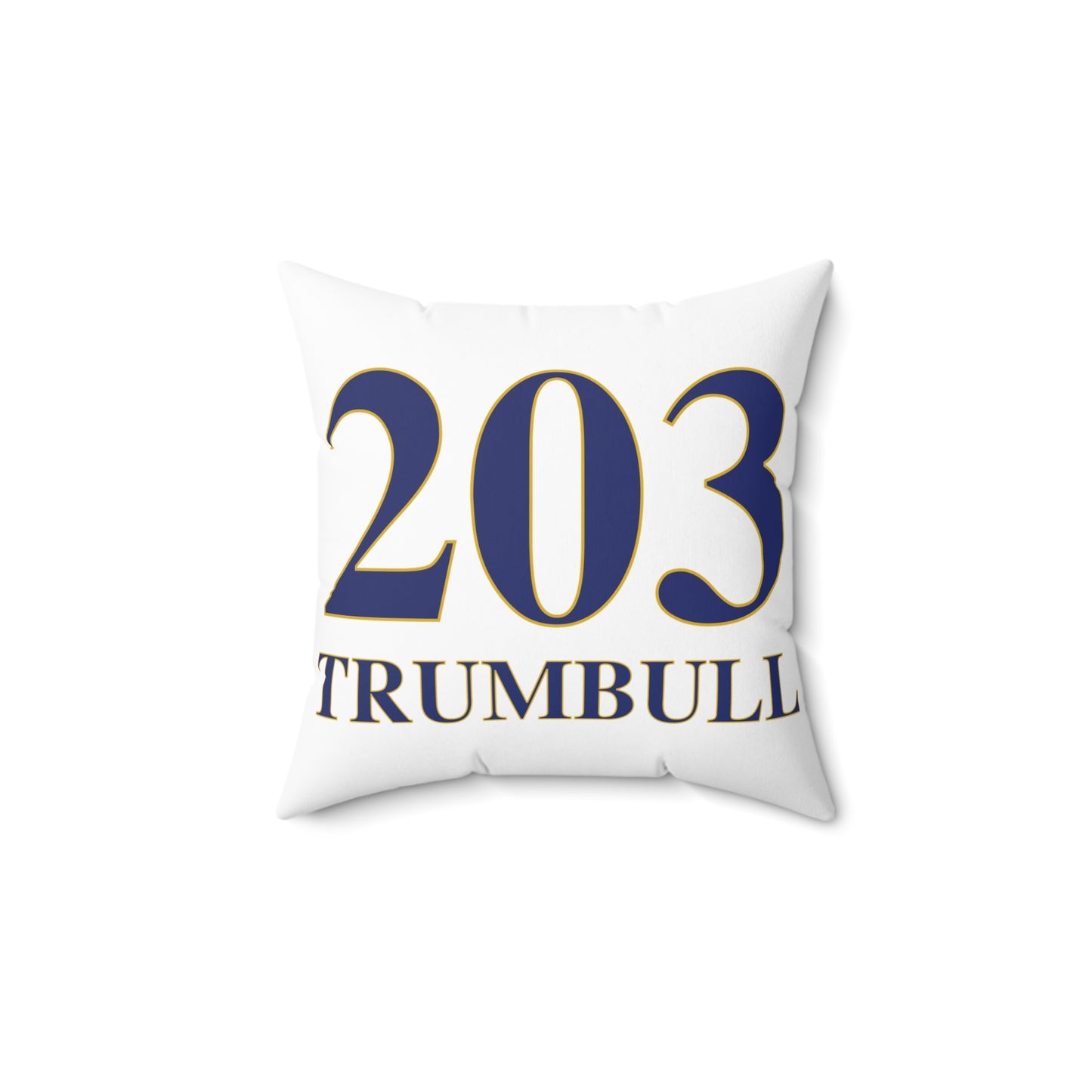 203 Trumbull Spun Polyester Square Pillow
