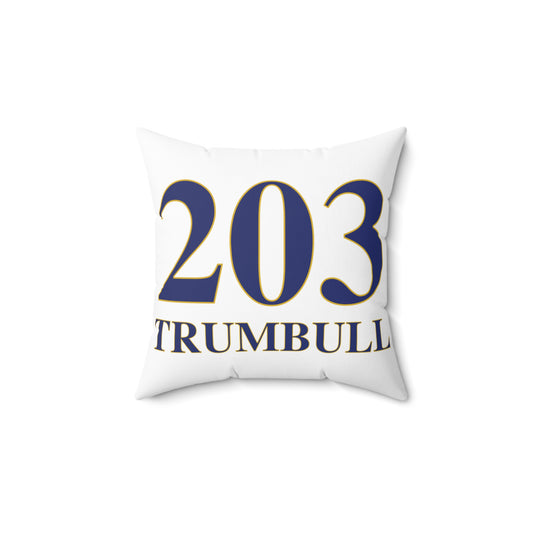 203 Trumbull Spun Polyester Square Pillow