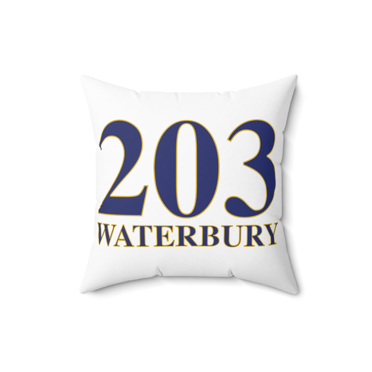 203 Waterbury Polyester Square Pillow