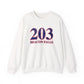 203 Beacon Falls Red White & Blue Unisex Heavy Blend™ Crewneck Sweatshirt
