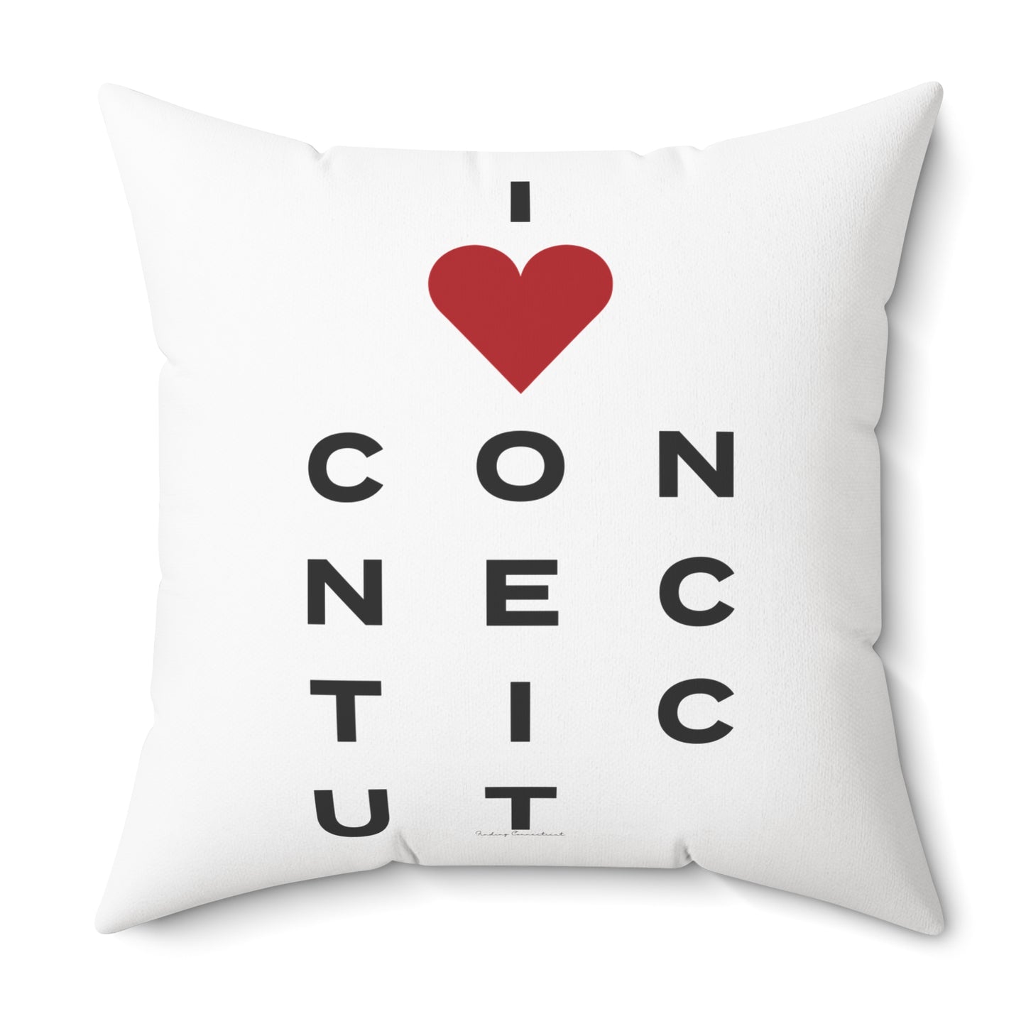 Connecticut Vision Spun Polyester Square Pillow