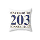 Waterbury 203 Connecticut Polyester Square Pillow
