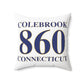 Colebrook 860 Connecticut Polyester Square Pillow