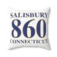 Salisbury 860 Connecticut Polyester Square Pillow