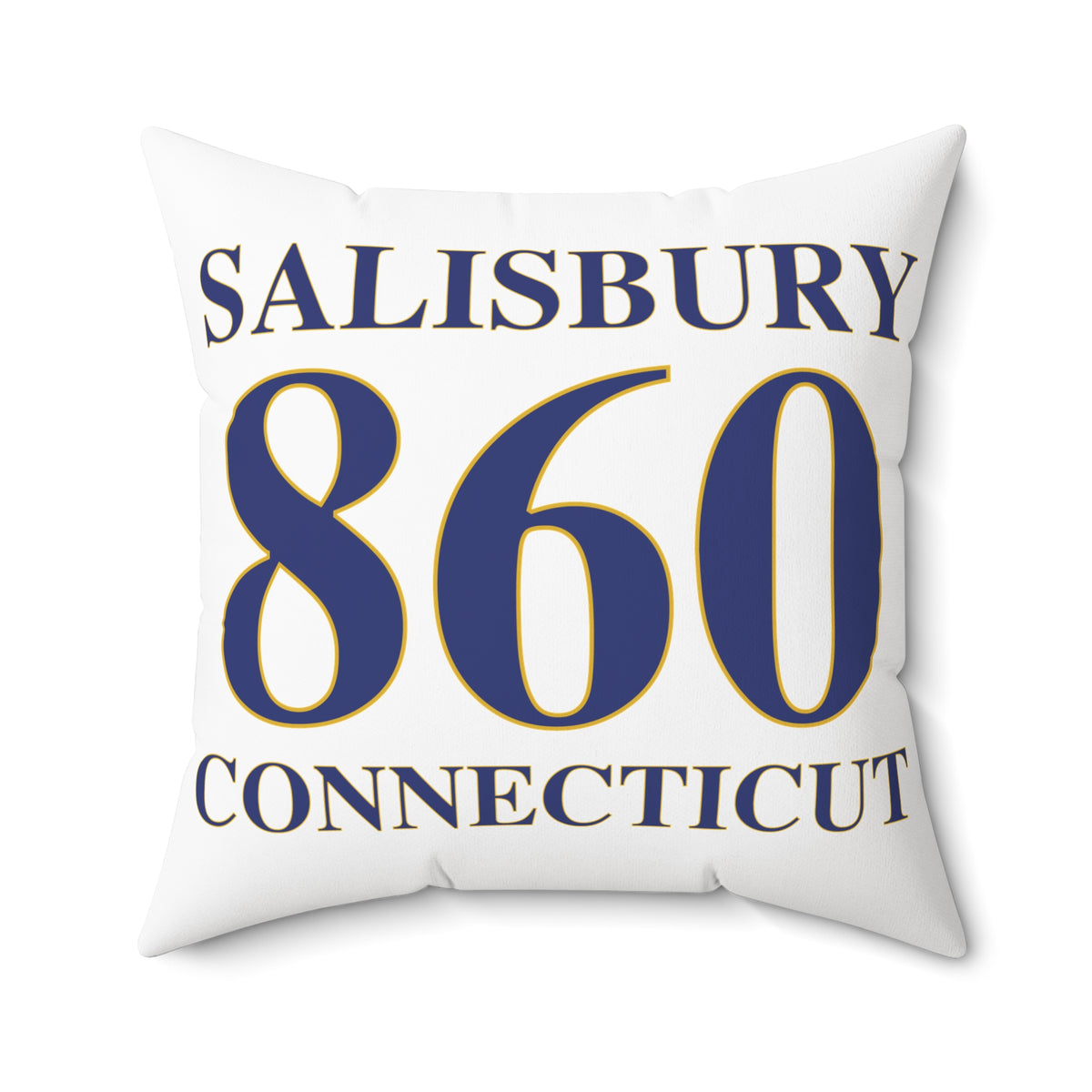 Salisbury 860 Connecticut Polyester Square Pillow