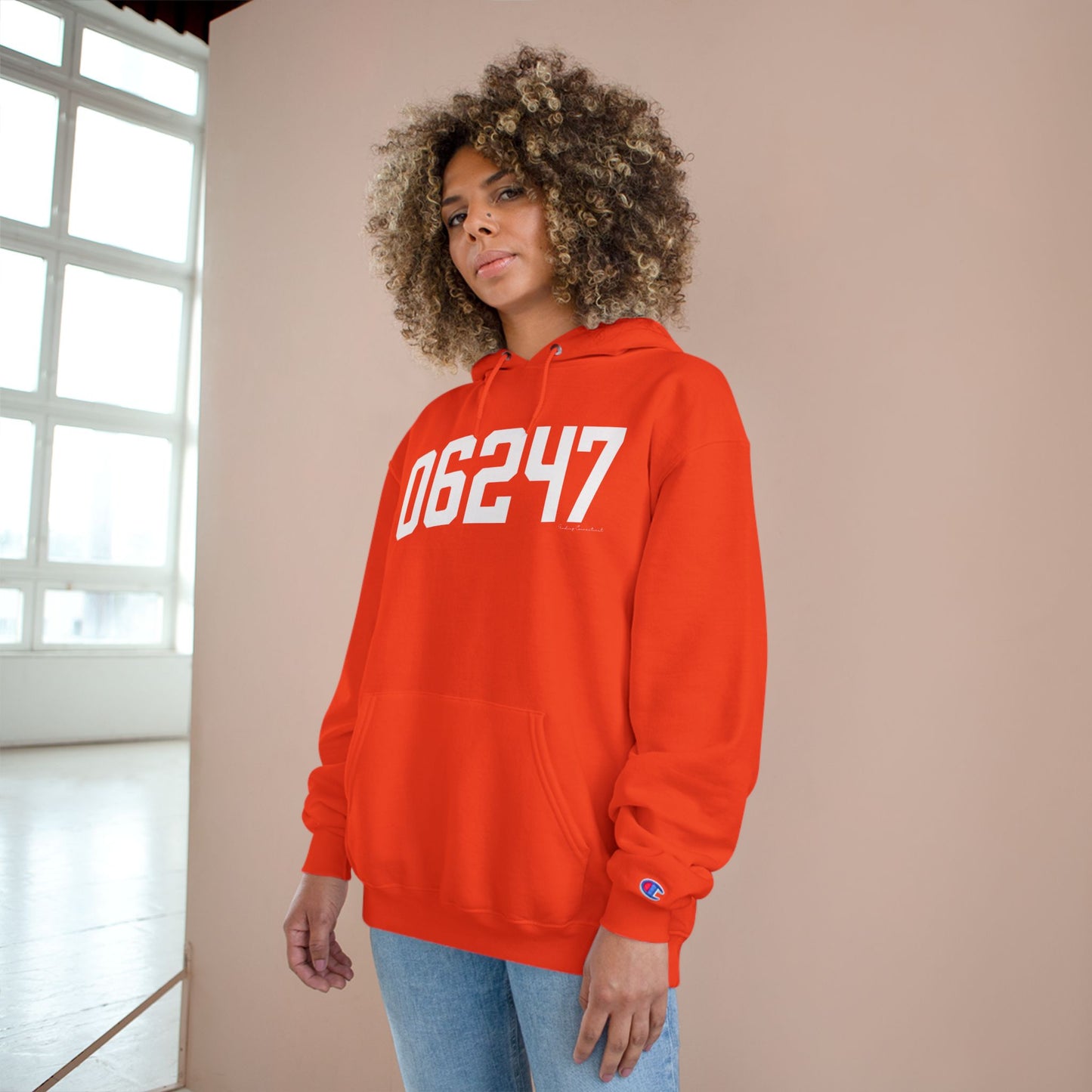 06247 Hampton CT Zip Code Champion Hoodie