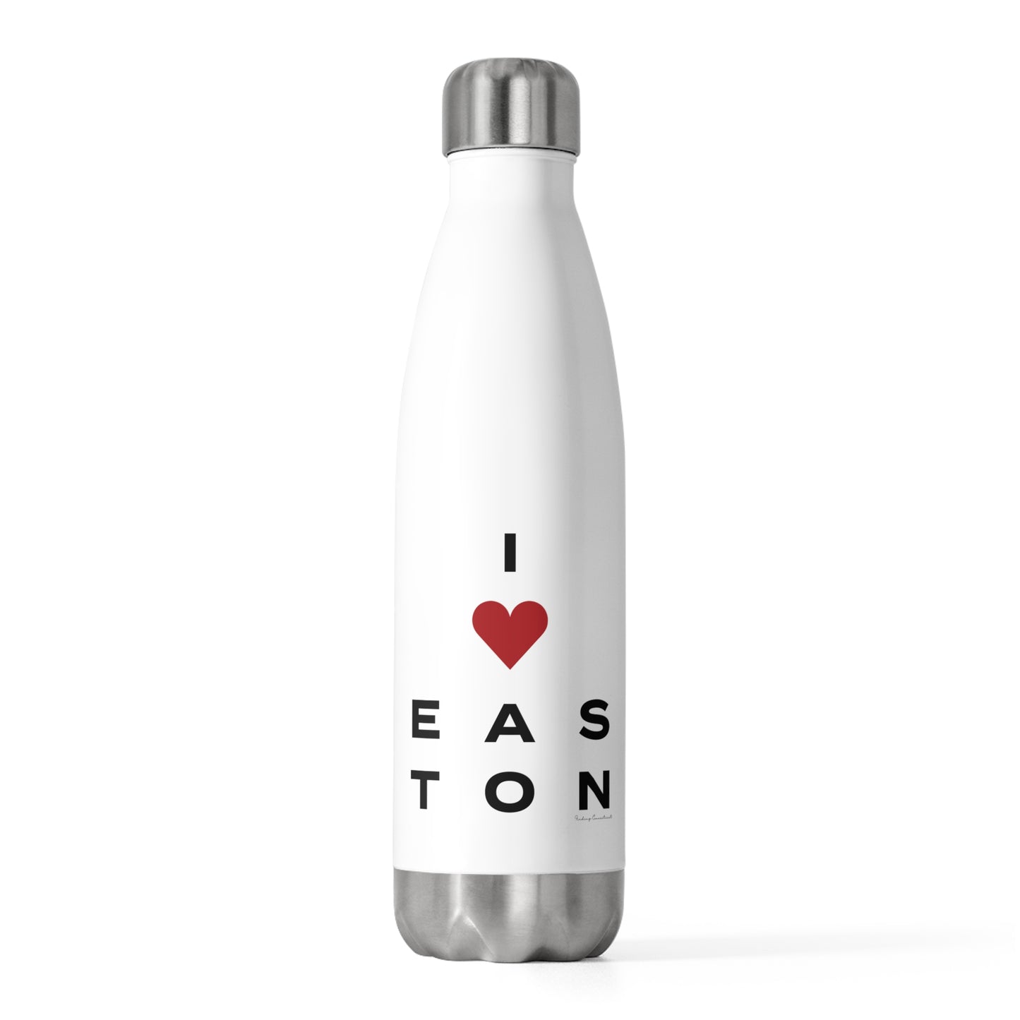 Easton Vision 20oz Insulated Bottle