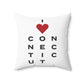 Connecticut Vision Spun Polyester Square Pillow