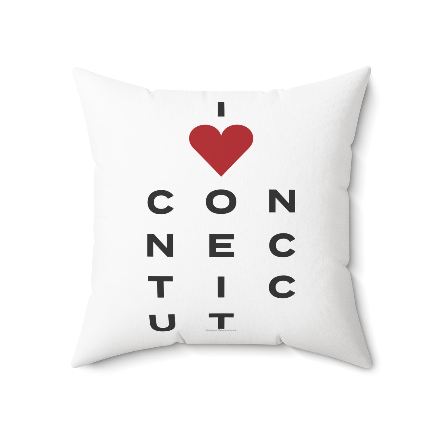 Connecticut Vision Spun Polyester Square Pillow