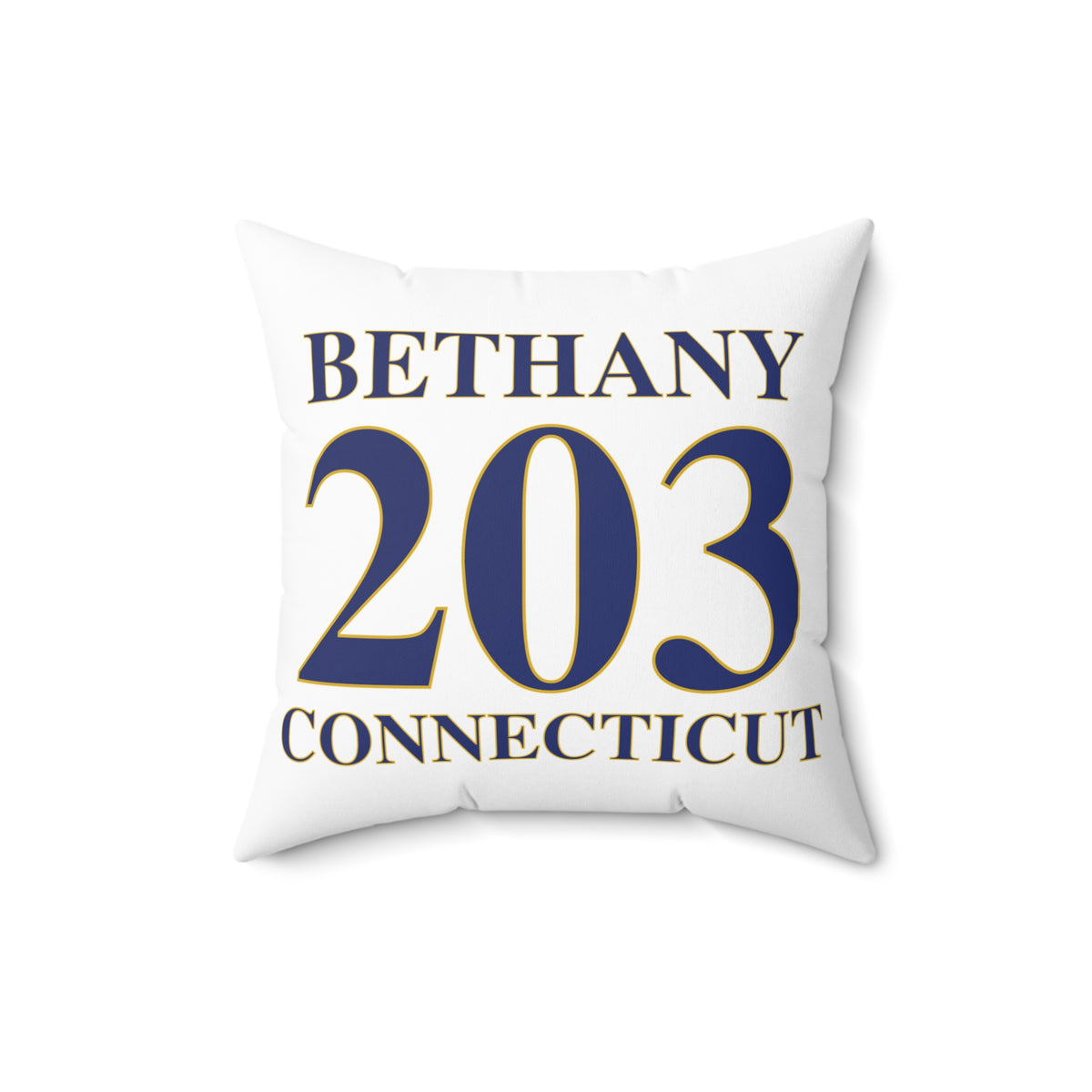 Bethany 203 Connecticut Polyester Square Pillow