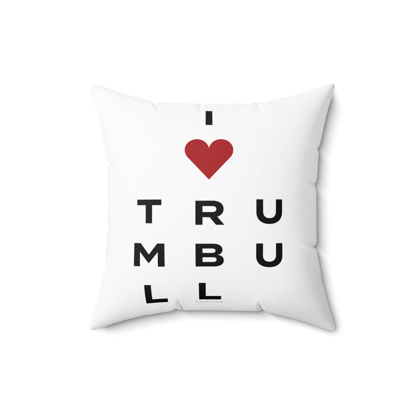 Trumbull Vision Spun Polyester Square Pillow
