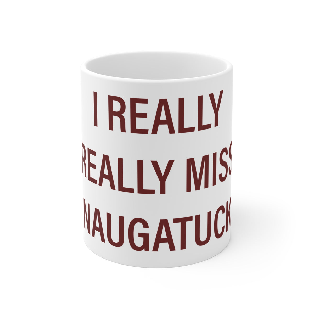 I Really Really Miss Naugatuck Mug 11oz
