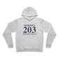 Meriden 203 Connecticut Unisex Sponge Fleece Pullover Hoodie