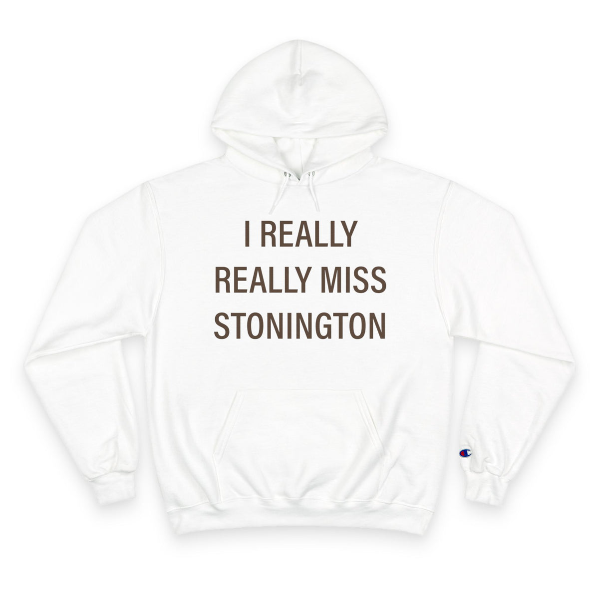 I Really Really Miss Stonington Champion Hoodie