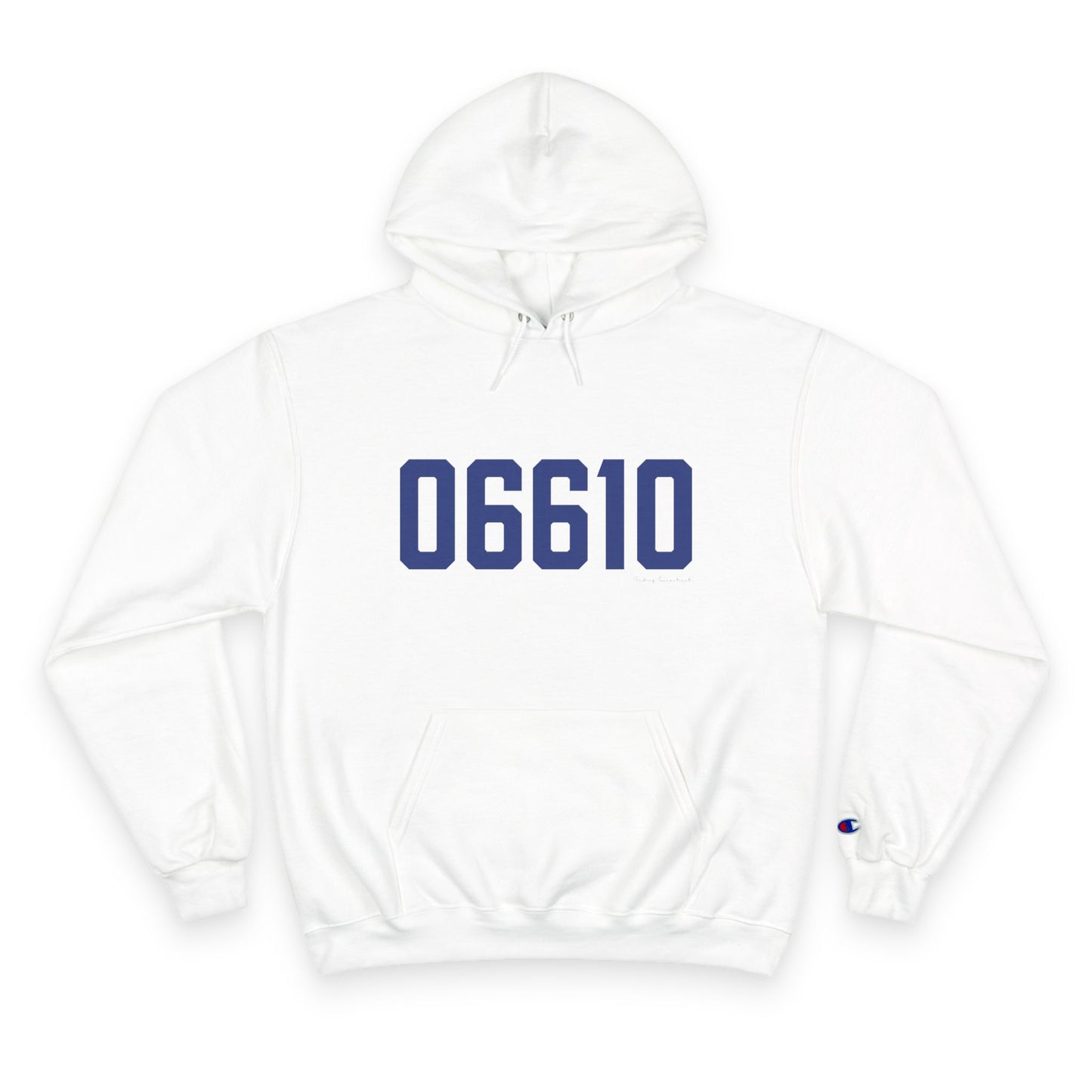 06610  Bridgeport Connecticut Zip Code Champion Hoodie Sweatshirt