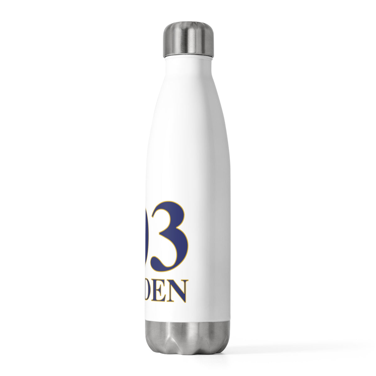 203 Hamden 20 oz Insulated Bottle