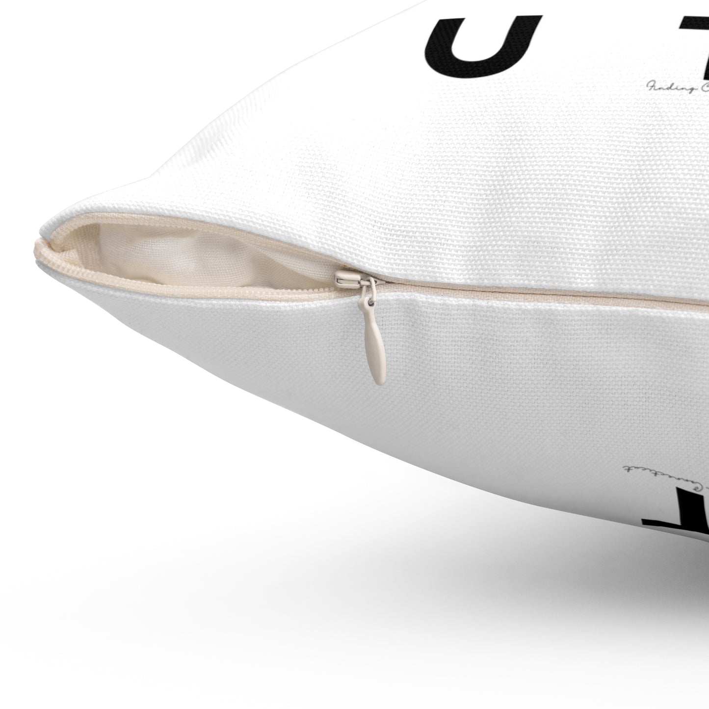 Connecticut Vision Spun Polyester Square Pillow