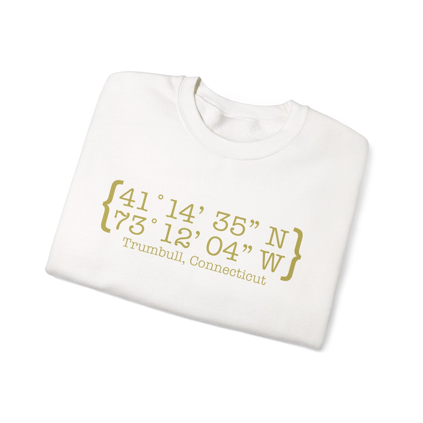 Trumbull Coordinates Unisex Heavy Blend™ Crewneck Sweatshirt