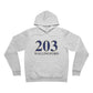 203 Wallingford Unisex Sponge Fleece Pullover Hoodie