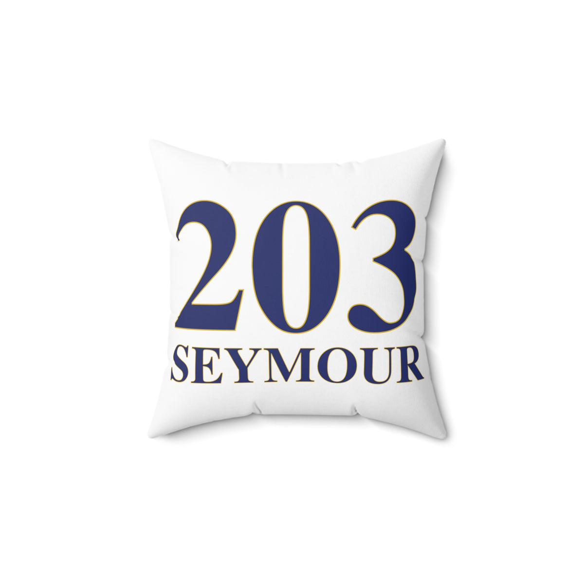 203 Seymour Polyester Square Pillow
