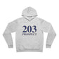 203 Prospect Unisex Sponge Fleece Pullover Hoodie