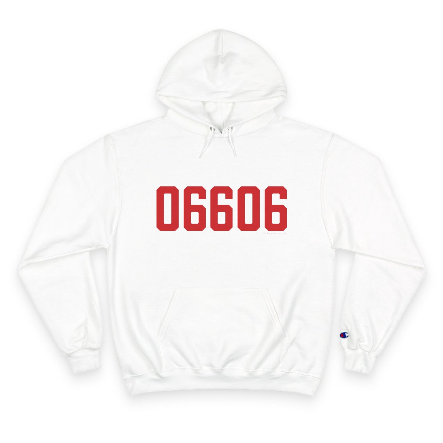 06606 Bridgeport Connecticut Zip Code Champion Hoodie Sweatshirt