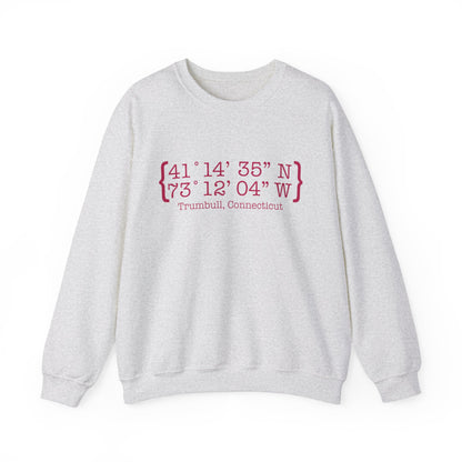 Trumbull Coordinates Unisex Heavy Blend™ Crewneck Sweatshirt