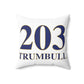 203 Trumbull Spun Polyester Square Pillow