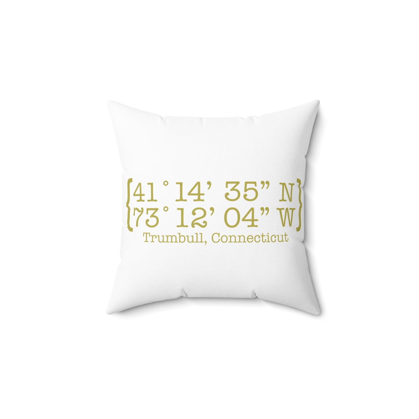 Trumbull Coordinates Spun Polyester Square Pillow