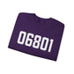 06801 Bethel CT Zip Code Unisex Heavy Blend™ Crewneck Sweatshirt